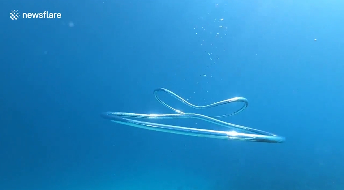 물 속 두개의 버블링이 합쳐지는 놀라운 순간(유튜브 영상 캡처)