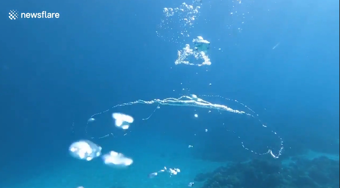 물 속 두개의 버블링이 합쳐지는 놀라운 순간(유튜브 영상 캡처)