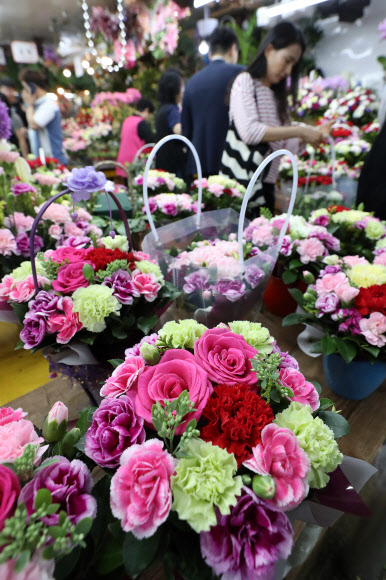 마음을 전하는 카네이션