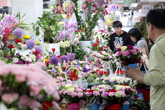 꽃시장 채운 카네이션