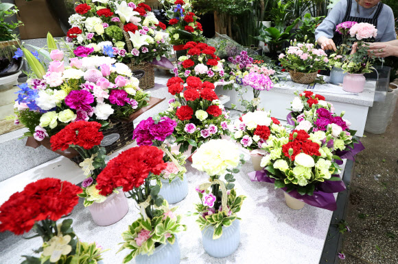 사랑을 뜻하는 카네이션