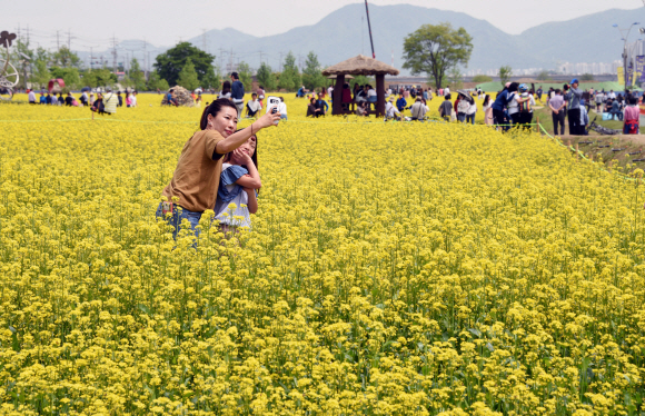 연휴 마지막날인 7일 경기 구리시한강시민공원에서 열린 유채꽃 축제에 많은 시민들이 모여 즐거운 시간을 보내고 있다 2018.5.7 최해국 선임기자seaworld@seoul.co.kr