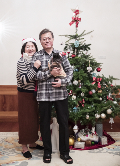 문재인 대통령과 김정숙 여사가 크리스마스에 트리 앞에서 반려견 토리와 함께하고 있다.17.12.22 청와대 제공