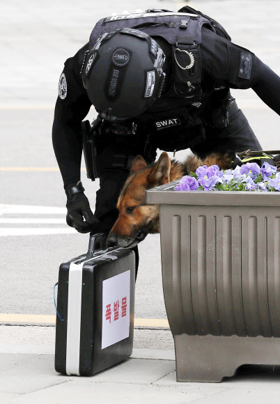 11일 오후 인천시 서구 인천아시아드주경기장에서 열린 ’재난대응 안전한국훈련’에서 인천지방경찰청 경찰특공대원 경찰견이 폭발물을 수색하는 훈련을 하고 있다.  연합뉴스