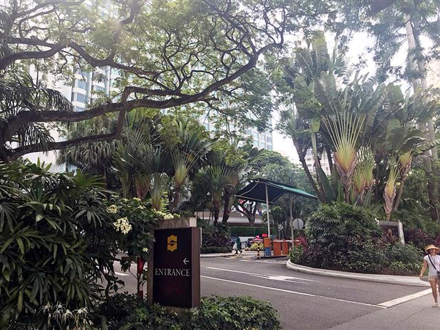 11일(현지시간) 서울신문 취재진이 직접 가본 6·12 북·미 정상회담 장소로 유력하게 거론되는 싱가포르 샹그릴라호텔의 입구 모습. 열대 나무들이 높게 자라 우거져 있다.  싱가포르 유대근 기자 dynamic@seoul.co.kr