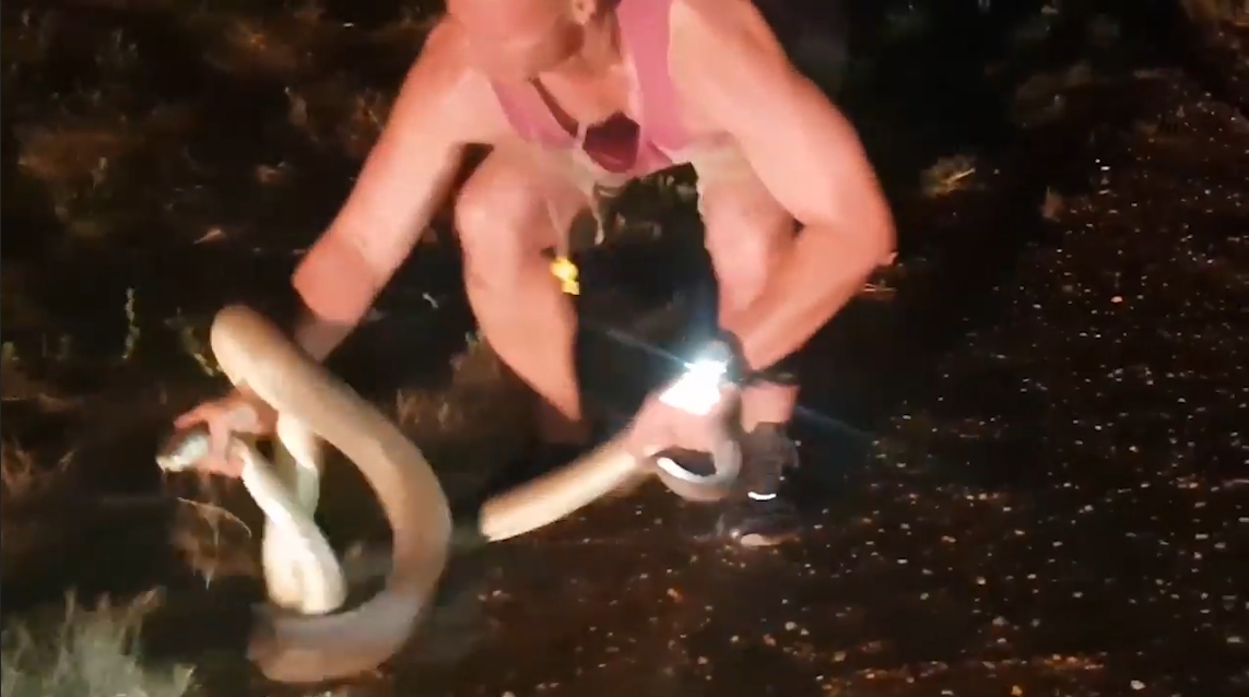 도로 위에 나타난 뱀을 잡고 야생으로 돌려 보내기 전에 힘자랑 하는 남성의 모습(유튜브 영상 캡처)