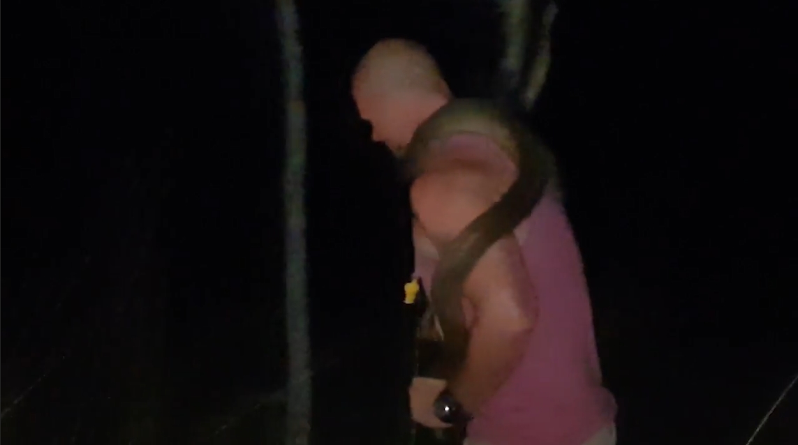 도로 위에 나타난 뱀을 잡고 야생으로 돌려 보내기 전에 힘자랑 하는 남성의 모습(유튜브 영상 캡처)