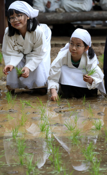 모내기도 하고 사진도 예쁘게 찍혀야지