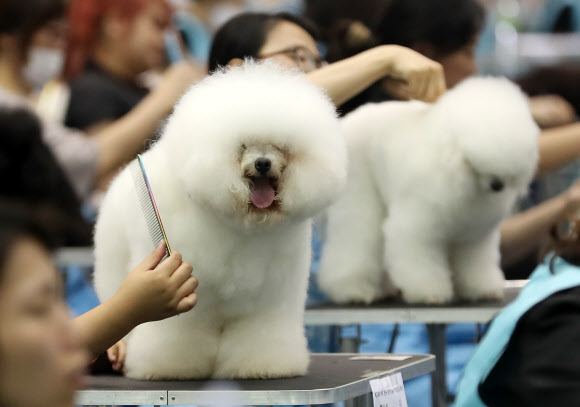 예쁘게 깎아주세요