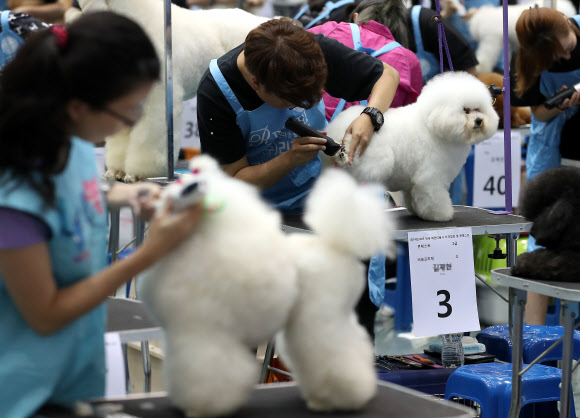 누가누가 예쁜가