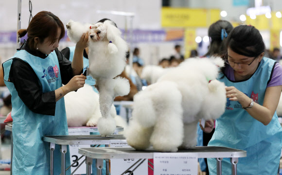 예쁘게 깎아주세요