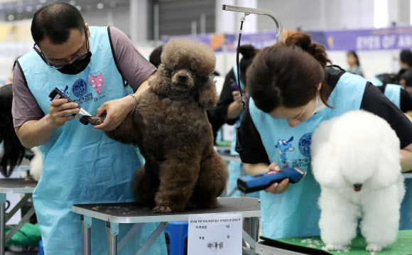 누가누가 예쁜가