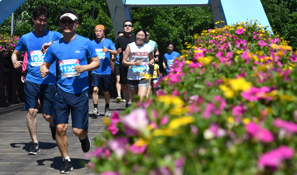 19일 서울 월드컵경기장 인근에서 열린 서울신문 하프마라톤 대회에 참석한 마라토너들이 코스를 달리고 있다. 2018.5.19 박지환기자 popocar@seoul.co.kr