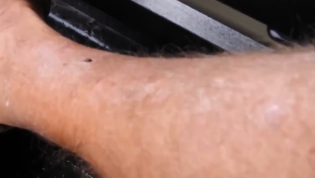 보츠와나(Botswana) 북서부 오카방고 델타(Okavango Delta) 삼각주 지역 표범 한 마리가 사파리 여행객에게 접근해 발목 부분을 할퀸 모습(유튜브 영상 캡처)