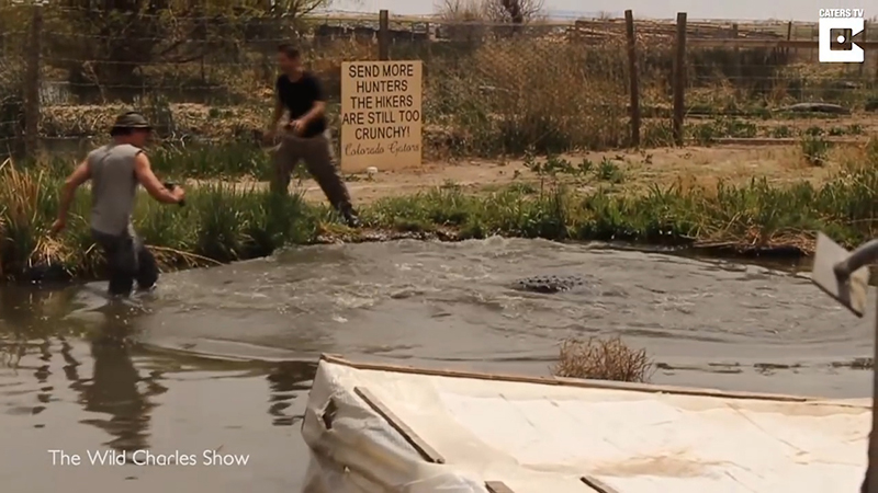 Caters Clips 유튜브 채널 캡처.