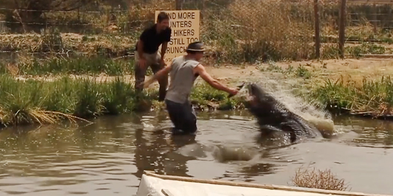 Caters Clips 유튜브 채널 캡처.