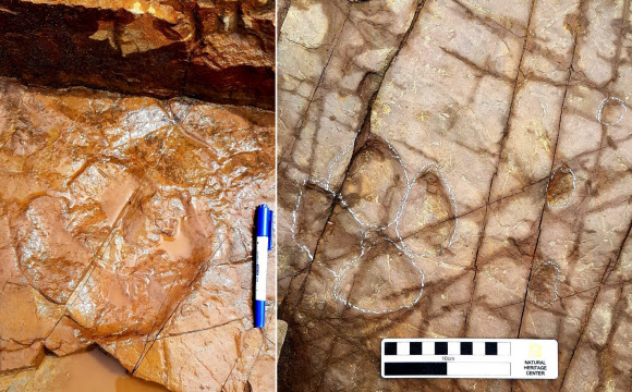 울산 반구대 암각화 주변서 초식공룡 발자국