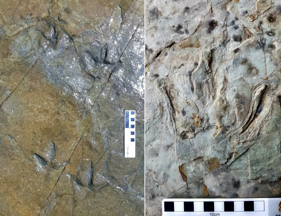 울산 반구대 암각화 주변서 육식공룡 발자국