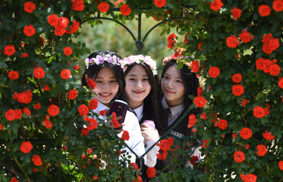 [포토인사이트]’5월, 장미에 빠지다’