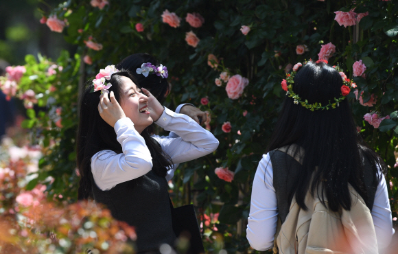 [포토인사이트]’5월, 장미에 빠지다’