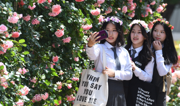 [포토인사이트]’5월, 장미에 빠지다’