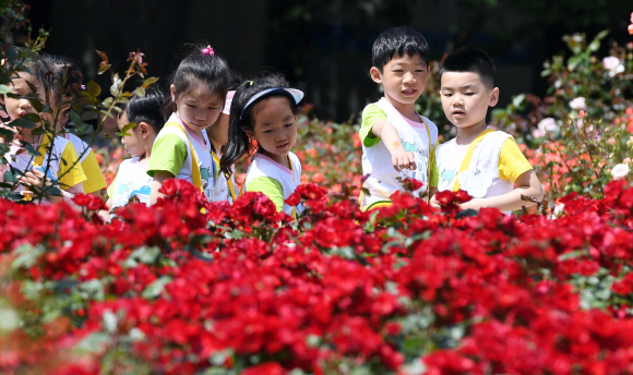 [포토인사이트]’5월, 장미에 빠지다’