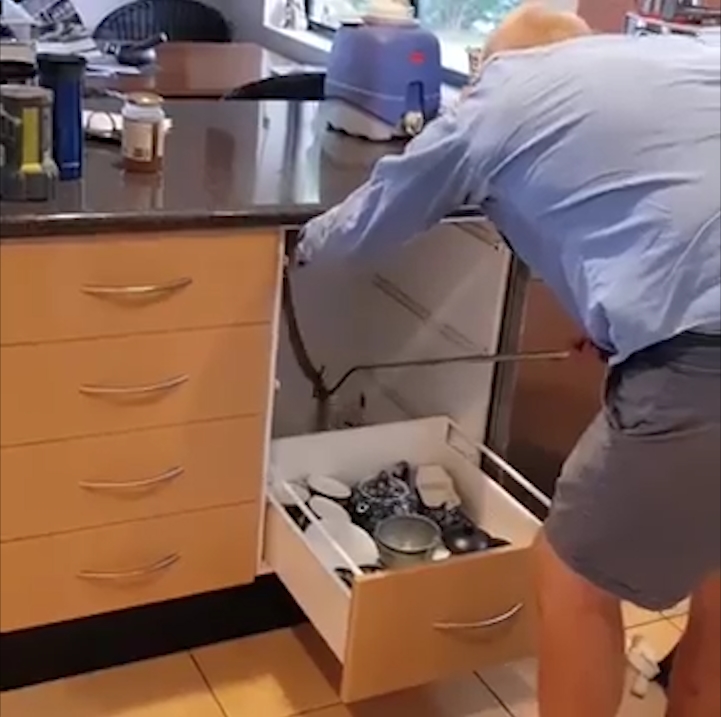 호주 한 가정집 부엌 서랍장 속에 꽈리를 틀고 있는 붉은배검정뱀 모습(유튜브 영상 캡처)