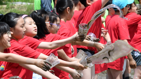 30일 오전 서울 도봉구 도봉동 무수골 논체험장에서 열린  ‘2018 전통 모내기 체험 행사’에 참가한 어린이들이 미꾸라지를 방생하고 있다. 2018.5.30 도준석 기자 pado@seoul.co.kr