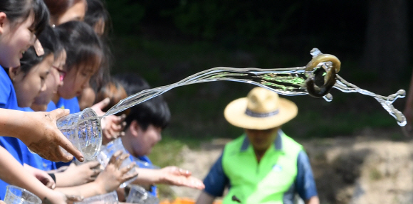 30일 오전 서울 도봉구 도봉동 무수골 논체험장에서 열린  ‘2018 전통 모내기 체험 행사’에 참가한 어린이들이 미꾸라지를 방생하고 있다. 2018.5.30 도준석 기자 pado@seoul.co.kr