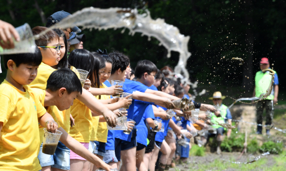 30일 오전 서울 도봉구 도봉동 무수골 논체험장에서 열린  ‘2018 전통 모내기 체험 행사’에 참가한 어린이들이 미꾸라지를 방생하고 있다. 2018.5.30 도준석 기자 pado@seoul.co.kr