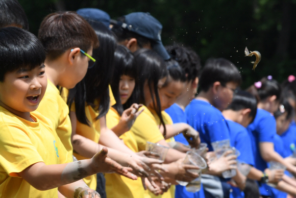 30일 오전 서울 도봉구 도봉동 무수골 논체험장에서 열린  ‘2018 전통 모내기 체험 행사’에 참가한 어린이들이 미꾸라지를 방생하고 있다. 2018.5.30 도준석 기자 pado@seoul.co.kr