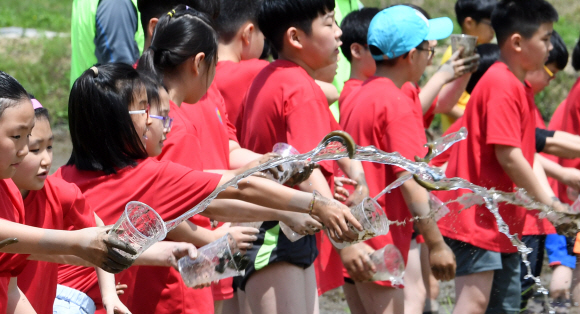 30일 오전 서울 도봉구 도봉동 무수골 논체험장에서 열린  ‘2018 전통 모내기 체험 행사’에 참가한 어린이들이 미꾸라지를 방생하고 있다. 2018.5.30 도준석 기자 pado@seoul.co.kr
