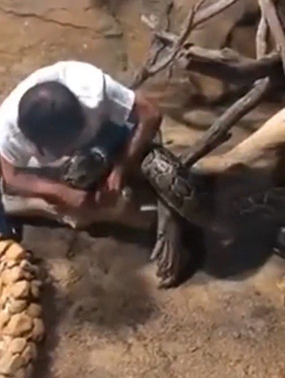 중국의 한 동물원에서 뱀에게 먹잇감을 주려다 손을 물린 사육사 모습(유튜브 영상 캡처)