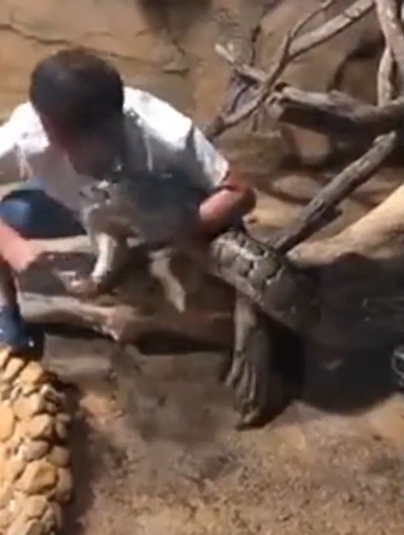 중국의 한 동물원에서 뱀에게 먹잇감을 주려다 손을 물린 사육사 모습(유튜브 영상 캡처)