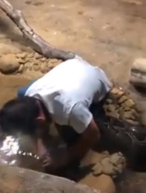 중국의 한 동물원에서 뱀에게 먹잇감을 주려다 손을 물린 사육사 모습(유튜브 영상 캡처)