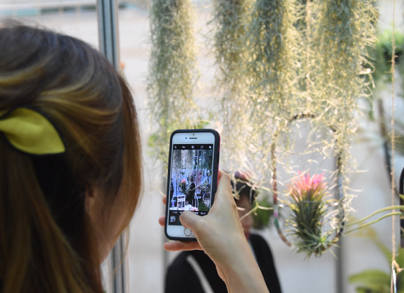 [서울포토] ‘SNS에 올릴까~’