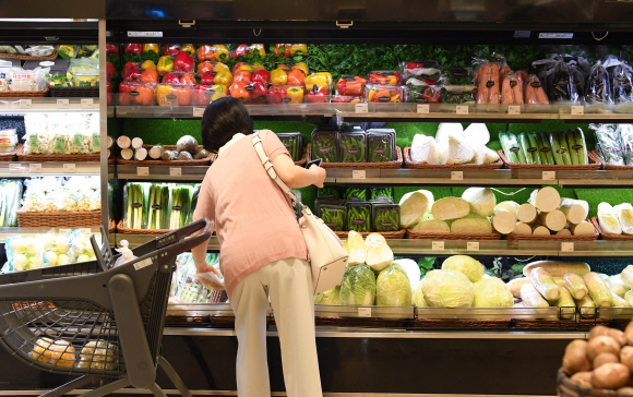채소류 가격이 13.5% 상승하는등 밥상물가가 불안한 가운데 1일 오전 서울에 한 백화점에서 시민이 채소를 고르고 있다. 2018.6.1  도준석 기자 pado@seoul.co.kr