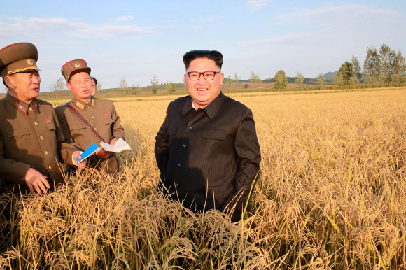 김정은 북한 노동당 위원장이 지난 29일 조선인민군 제810군부대 산하 1116호 농장을 현지지도했다고 조선중앙통신이 30일 보도했다. 2017.9.30  연합뉴스