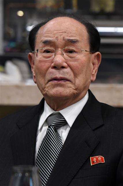 김영남 북한 최고인민회의 상임위원장