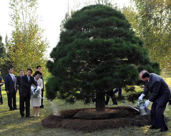 2007 남북정상회담 마지막날인 4일 오후 노무현 대통령과 김영남 상임위원장이 평양식물원에서 한라산 백록담 흙과 백두산 천지 흙을 나무(반송)에 뿌리며 식수하고 있다. 2007.10.4  청와대 사진기자단