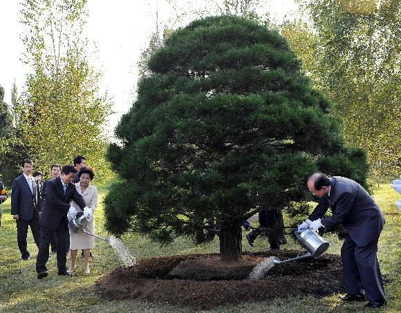 2007 남북정상회담 마지막날인 4일 오후 노무현 대통령과 김영남 상임위원장이 평양식물원에서 한라산 백록담 흙과 백두산 천지 흙을 나무(반송)에 뿌리며 식수하고 있다. 2007.10.4  청와대 사진기자단
