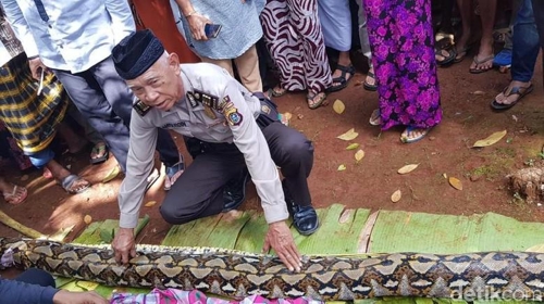 2018년 6월 15일 인도네시아 동남 술라웨시 주 무나 섬에서 현지 경찰 당국자가 50대 여성을 삼켜 숨지게 한 비단구렁이의 몸길이를 재고 있다.  데틱닷컴 홈페이지 캡처=연합뉴스