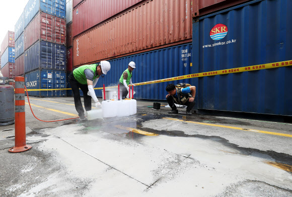 붉은불개미를 잡아라