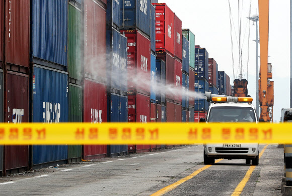 붉은불개미 확산을 막아라