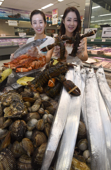 [서울포토] 제주은갈치의 고운 자태