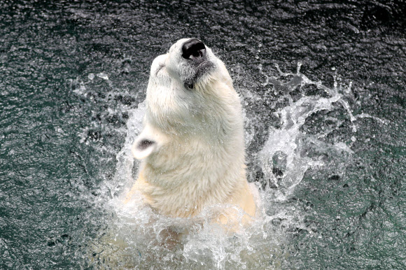 한국에서 보내는 마지막 여름