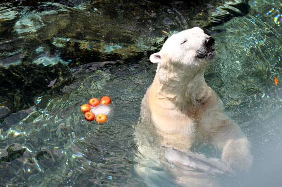한국에서 보내는 마지막 여름