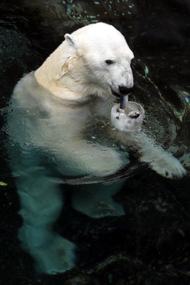 잊지 못할 얼음꽁치의 맛