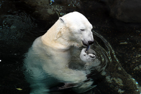 잊지 못할 얼음꽁치의 맛