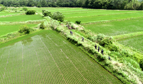 ‘여고생은 어디에’